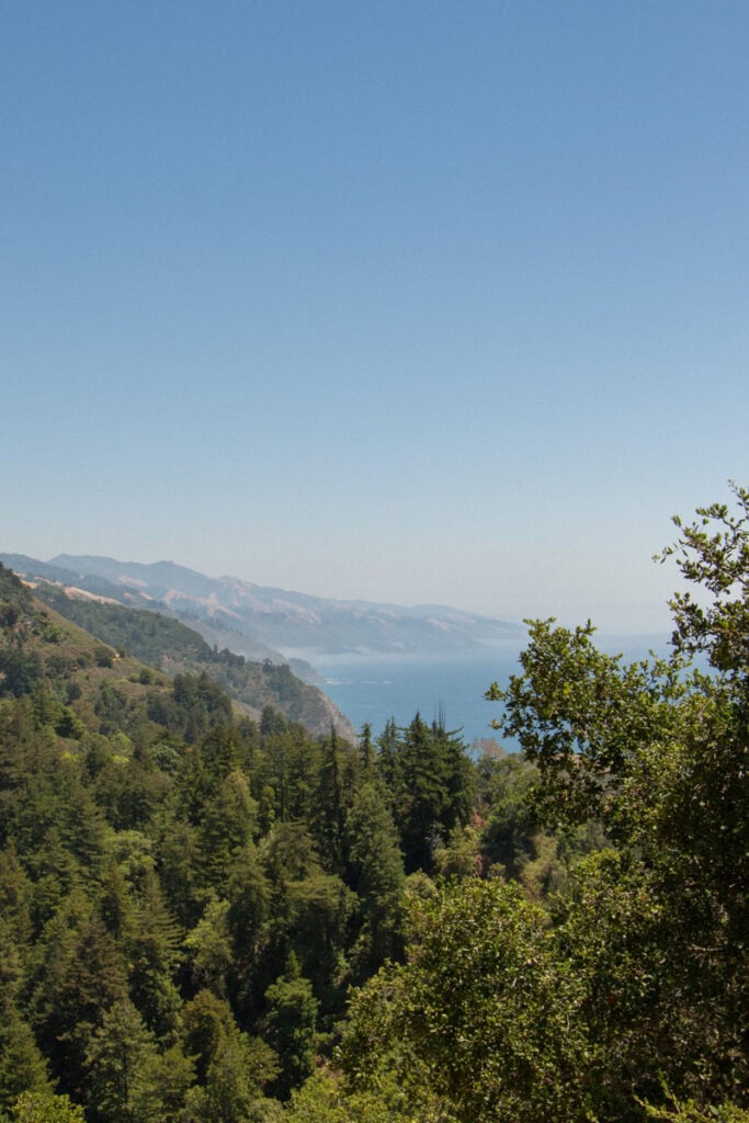 A view of the Big Sur coast from Nepenthe. There are trees in the foreground