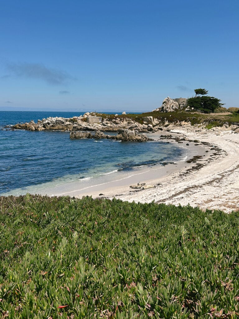 View of a cove from the Monterey Bay Coastal Trail