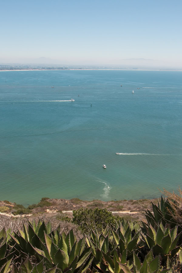 The view looking down at the ocean from Cabrillo National Monument. There are numerous boats in the water.