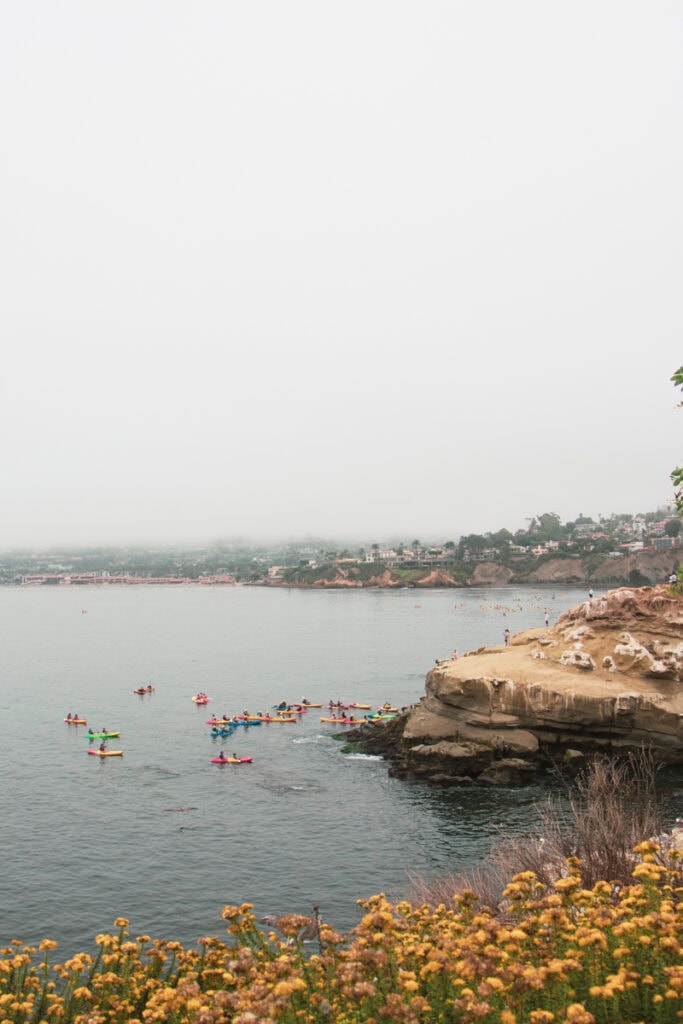 Kayakers on the water in La Jolla