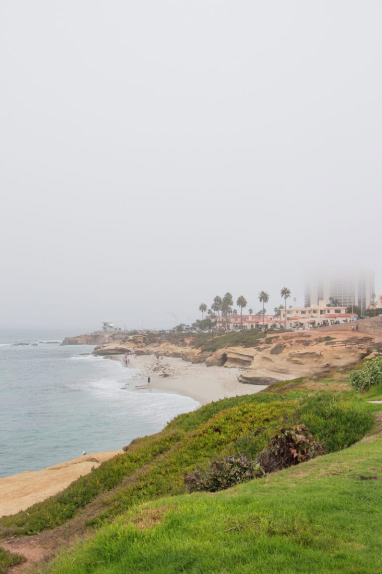 A foggy beach and shoreline in La Jolla