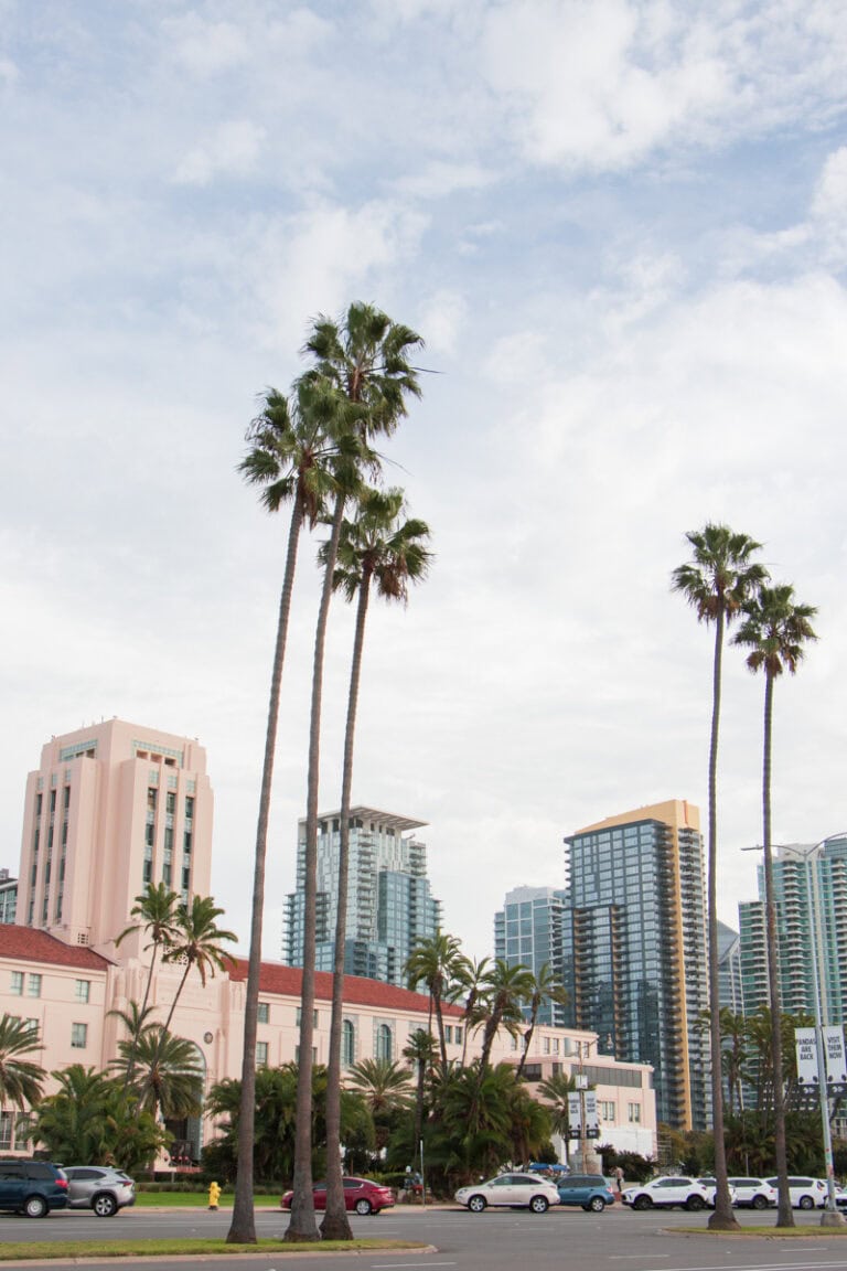 High-rise buildings in San Diego, with palm trees in front of them