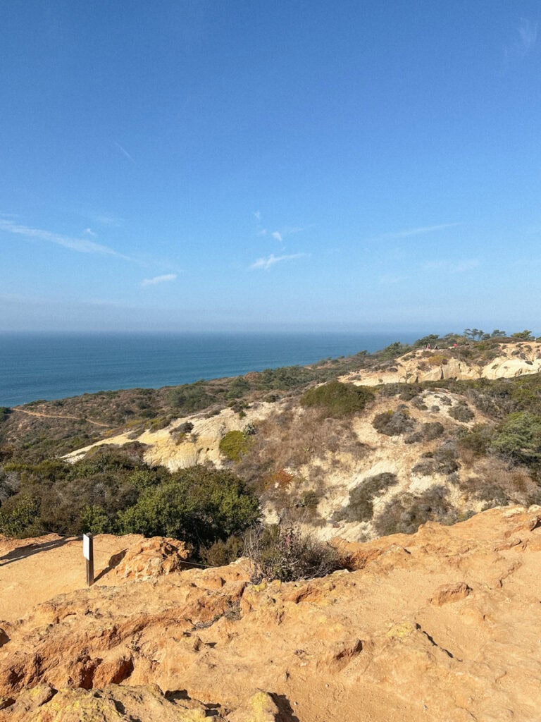 View of the ocean and coastal bluffs from a Torrey Pines Reserve hike