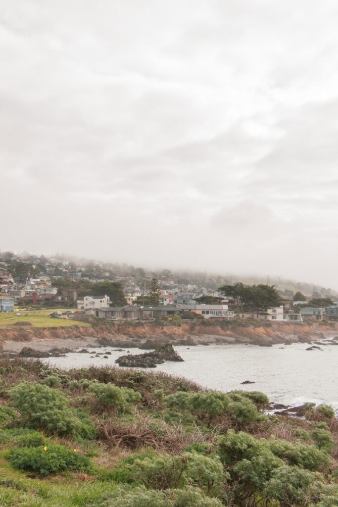 View of a neighborhood that borders Fiscalini Ranch across the water