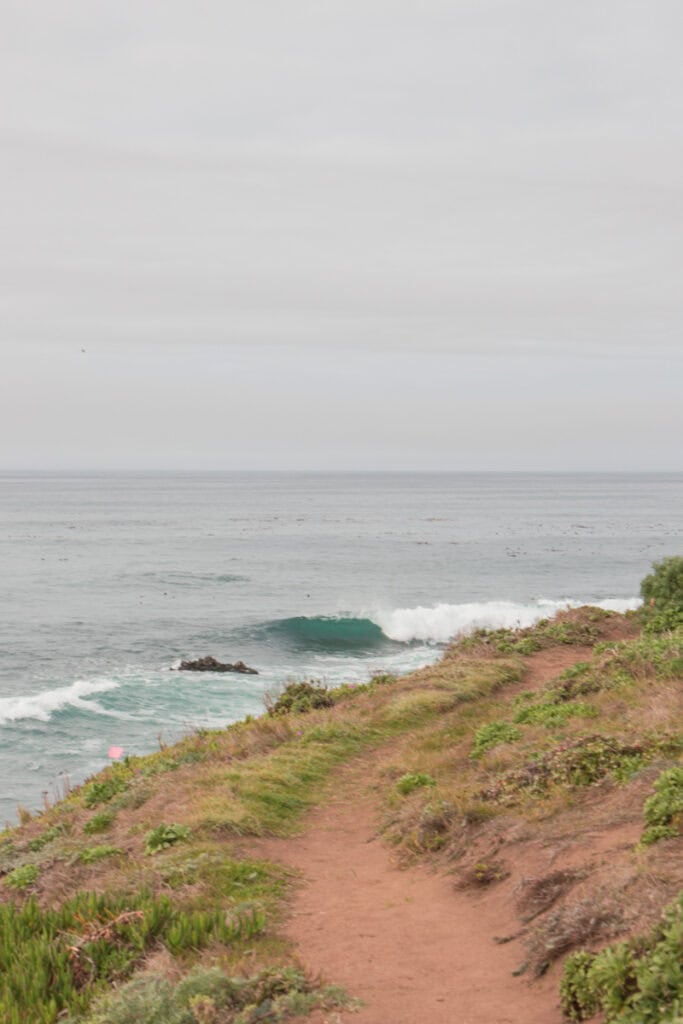 A dirt path surrounded by patches of grass on either side that leads out to a view of the ocean