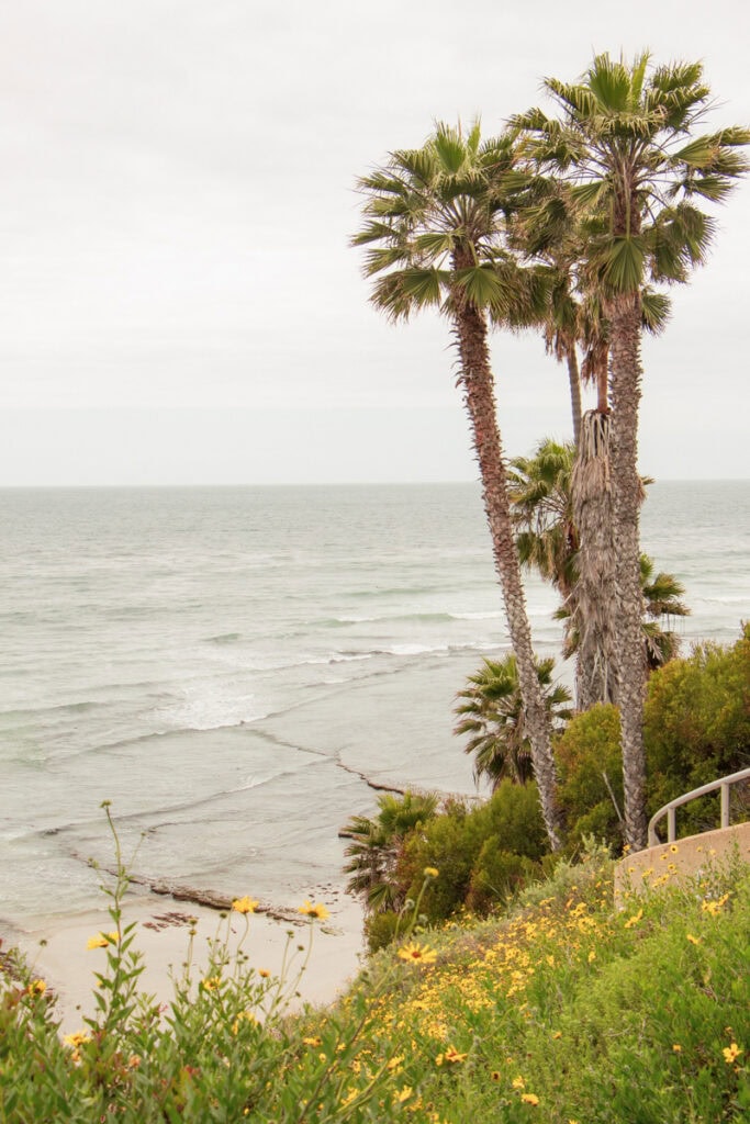 A palm tree-lined staircase leading down to Swami's Beach