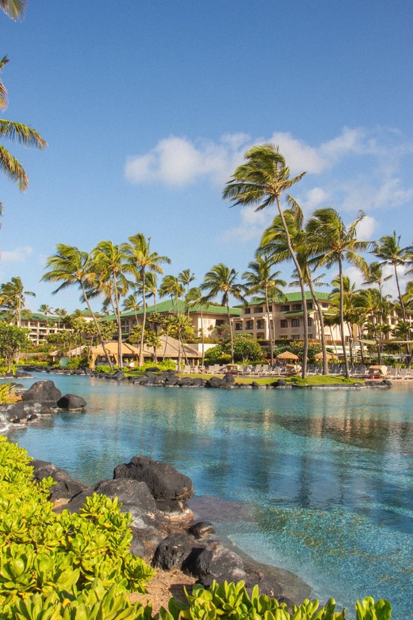 A pool surrounded by palm trees and lush landscaping at the Grand Hyatt Kauai