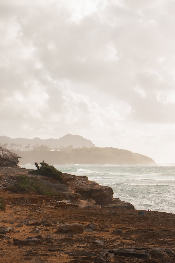 A hazy view of the coastline from a hiking trail. There are towering mountains along the ocean in the distance