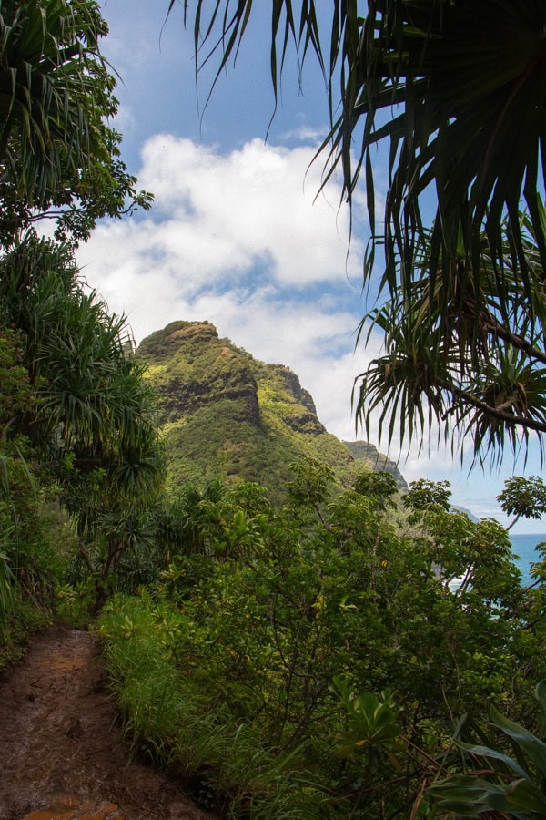 View of a towering mountain surrounded by lush greenery on the Na Pali Coast Trail