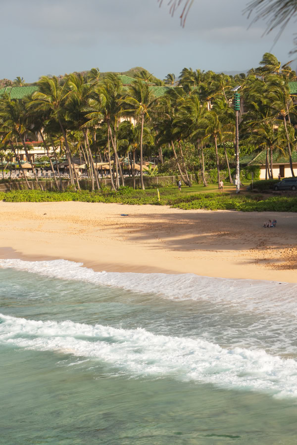 Waves crashing onto the beach. There are dense palm trees and other foliage past the sand. 