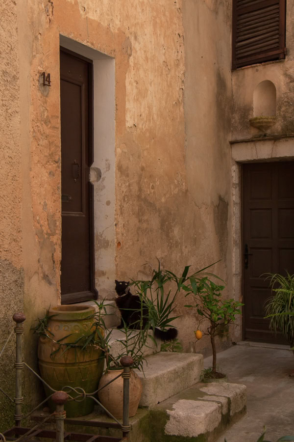 A black cat sitting on steps in a small courtyard