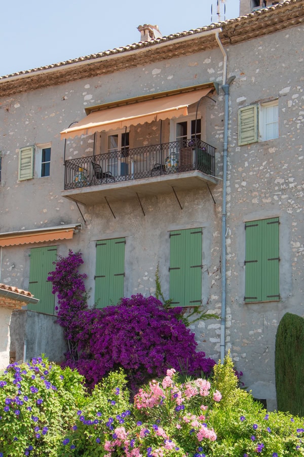 Purple and pink flowers growing up and around a stone building with light green shutters