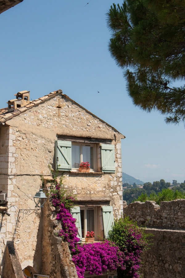 A stone building covered in pink flowers and greenery on the left, and a portion of the ramparts on the right