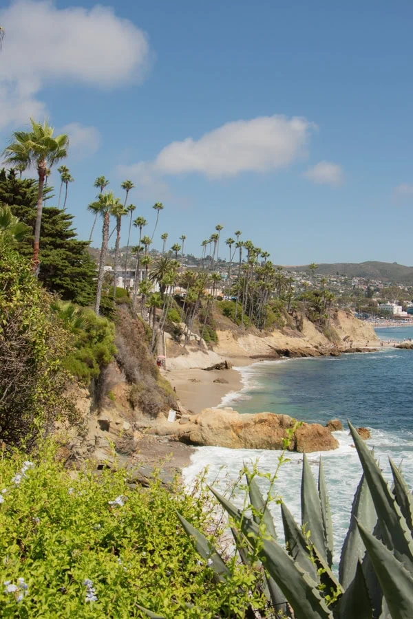 The view of a beach from the top of a coastal bluffs. There are numerous palm trees lining the bluffs, and the coastline is rugged and rocky.