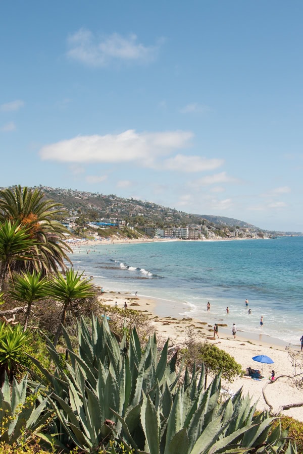 The view looking down at a spacious beach in Laguna Beach. There are plants in the foreground.
