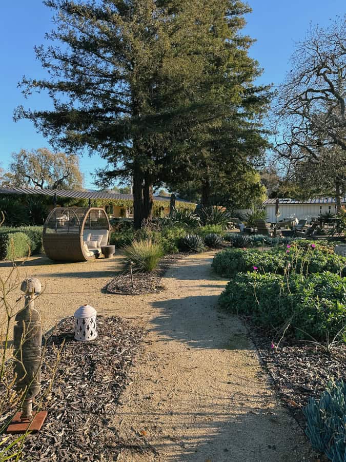A path leading through the gardens at Hotel Ynez.