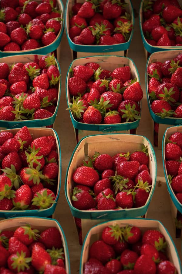 Lines of boxes of strawberries at a market in Aix-en-Provence