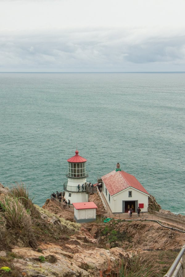 Point Reyes Lookout The Perfect Point Reyes Day Trip: A Complete Itinerary with Must-See Stops