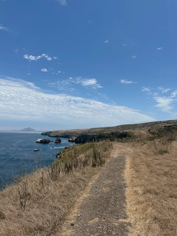 The Cavern Point Trail on Santa Cruz Island. You can see the Pacific Ocean on the left, and views of the coastline in the background