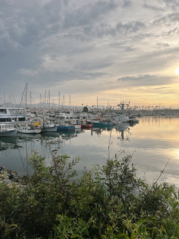 Boats docked in Ventura Harbor as the sun rises over the water