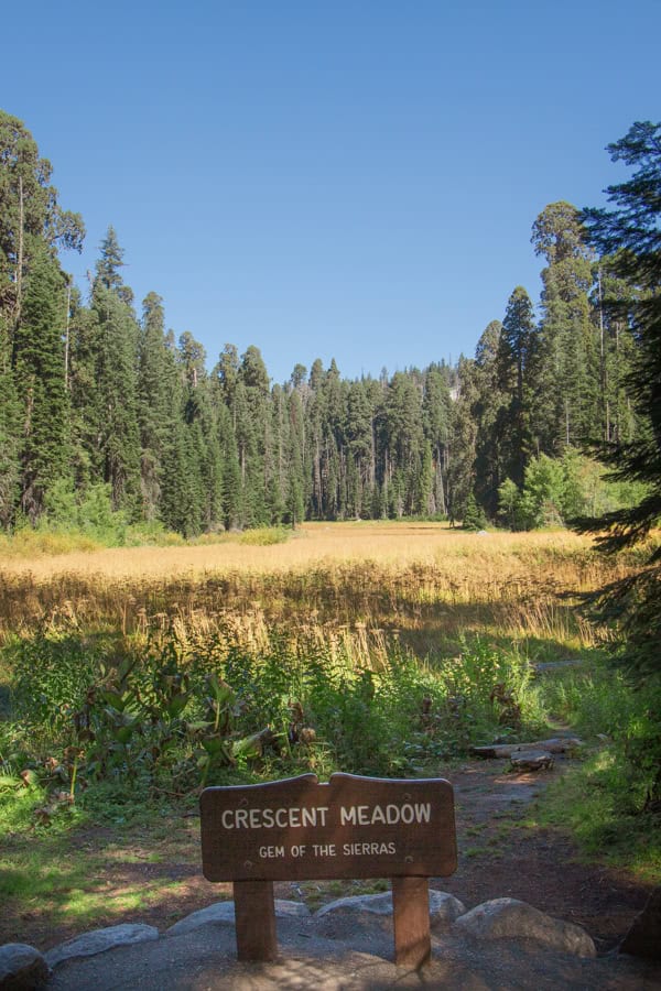 A small wooden sign for Crescent Meadow in front of the open meadow. There are sequoia trees surrounding the meadow.