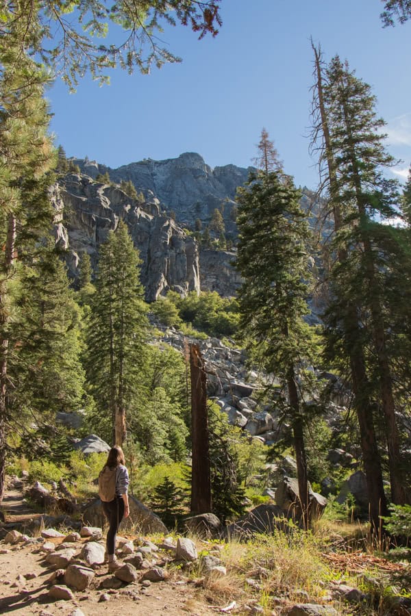 A woman looking up at the view of the trees and distant mountain from the Tokopah Falls Trail.