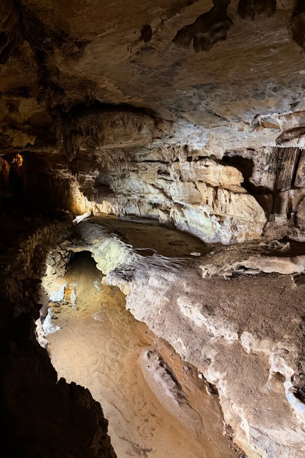 The interior of one of the rooms on the Crystal Cave tour in Sequoia. There are stalactites coming down from the ceiling.