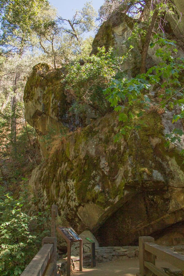 A large moss-covered boulder and an educational sign on the trail to Crystal Cave in Sequoia.